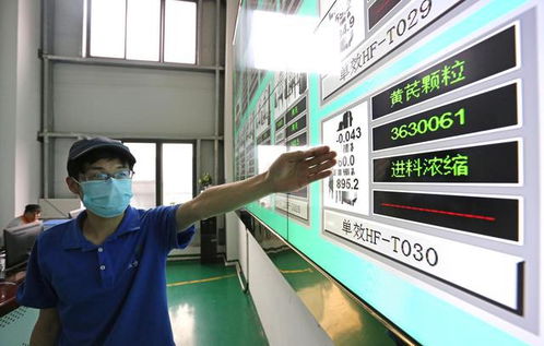 大數據驅動貴州農業升級，智能工廠與信息技術咨詢助力產業轉型